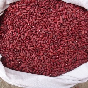 Top Quality Red Kodney Beans