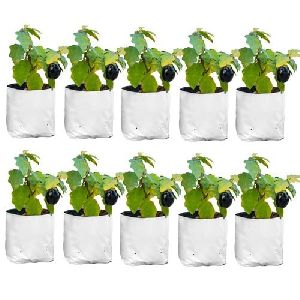 LDPE Poly Plastic GROW BAG (24&amp;times;24&amp;times;40 CM) Pack of 10 Bag