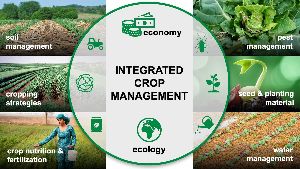 Integrated Crop Management Consultancy