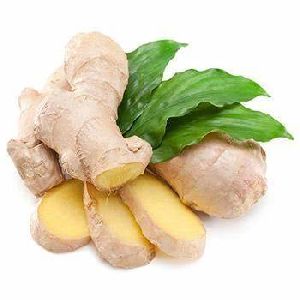 Fresh ginger whole prices exporting to overseas