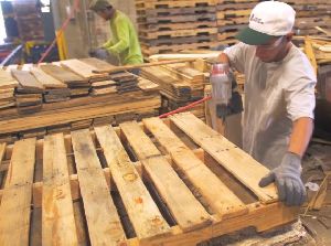 Wood Pallet Repair Service