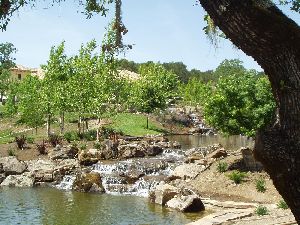 Artificial Lakes Ponds Water Bodies