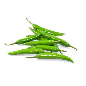 fresh green chilli