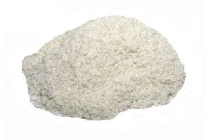 Spray Dried Coconut Powder
