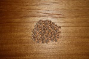 Nagkesar Seeds, Form : Raw Herb