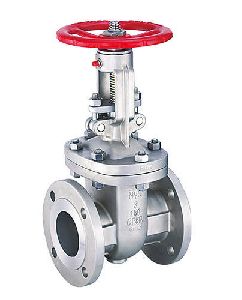 gate valve