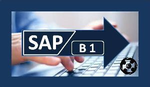 SAP Business One Training