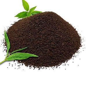 black tea powder