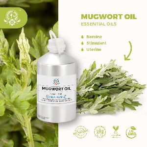 Mugwort Essential Oil