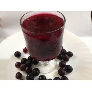 Frozen Red Grapes Pulp