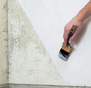 White Damp Proof Paint