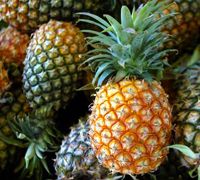 Fresh Pineapple