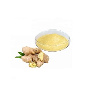 Ginger Natural Extract