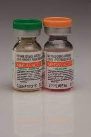 MEGAVAC - 7 (CANINE DISTEMPER VIRUS+ADENOVI)