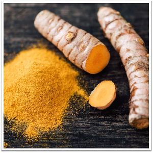 turmeric powder