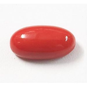 6.25ct Certified Natural Red Coral Japanese Moonga Oval Premium Quality