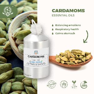Cardamom Spice Oil