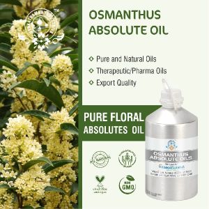 Osmanthus Abolsute Oil