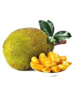 Fresh Jackfruit