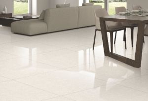 800x800 Vitrified Tiles