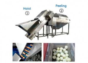 Onion Peeling Machine Onion Peeler Machine