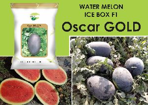 Water Melon Seed ICEBOX type