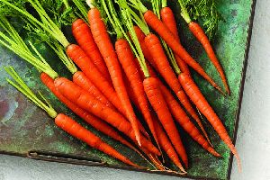 Fresh Carrot