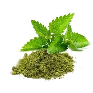 Pure Tulsi Powder