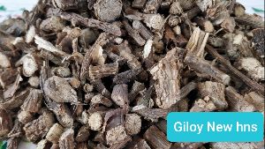 Gulvel/Giloy (Tinospora cordifolia Steam)