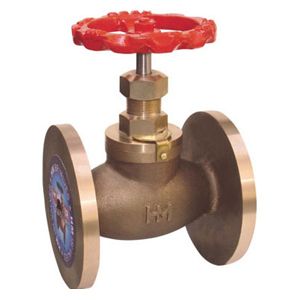 Gun Metal Globe Valve