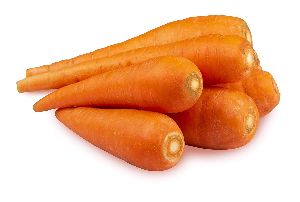 Organic Fresh Carrot, Style : Natural