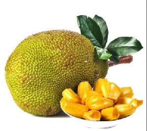 Fresh Jackfruit