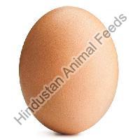 Egg Laying Chicken Concentrate 22.5%