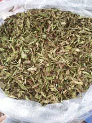 Exporters of Basilicum-Ocimum Tenuiflorum Dried Leaves