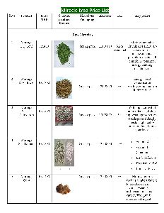 Moringa product list