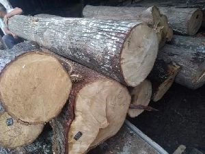 pine wood logs