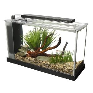 Plain Glass Fish Tank
