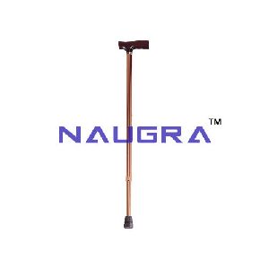 Walking Stick Eco