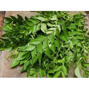 curry leaves