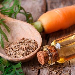 Carrot-Seed Essential oil