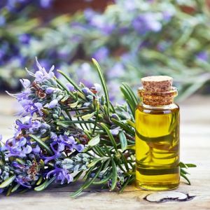 Rosemary Essential Oil