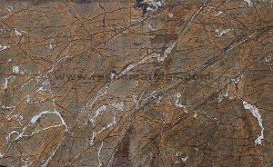 Forest Brown Antique Marble