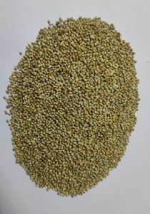 Organic Pearl Millet