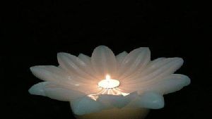 Floating Lotus Candles