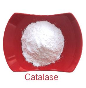 Catalase Powder, Color : White