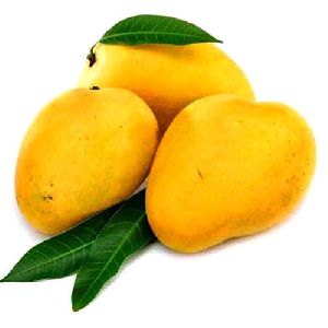 fresh mango