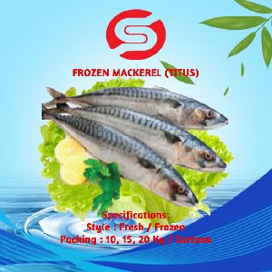 Frozen / Fresh Mackerel