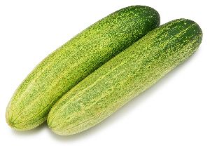 fresh cucumber