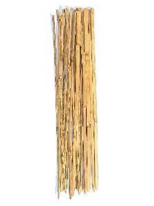 bamboo sticks for plant support