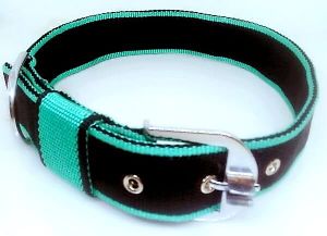 1.25 Inch Nylon Dog Collar